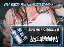 [강남도깨비파파부장-도깨비파파부장]